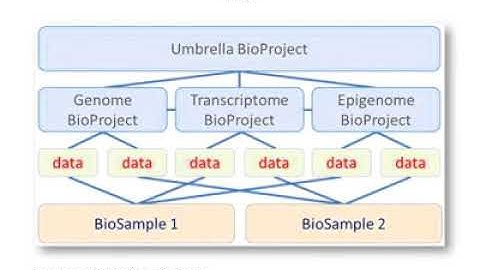 Visualizing Cancer Genomic Data Part 2