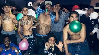 Playboys 13 Gang VS Florencia 13 & MS-13