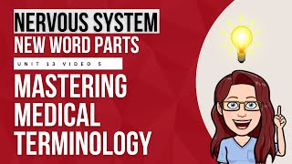 Nervous System Word Parts 🧠| Fun Medical Terminology Breakdown with Cute Examples! 🎓✨