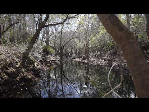 90 acre Retreat on Little Saint Marys River