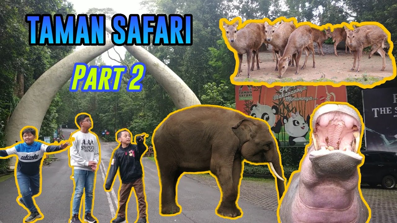 TAMAN SAFARI PART 2 - YouTube