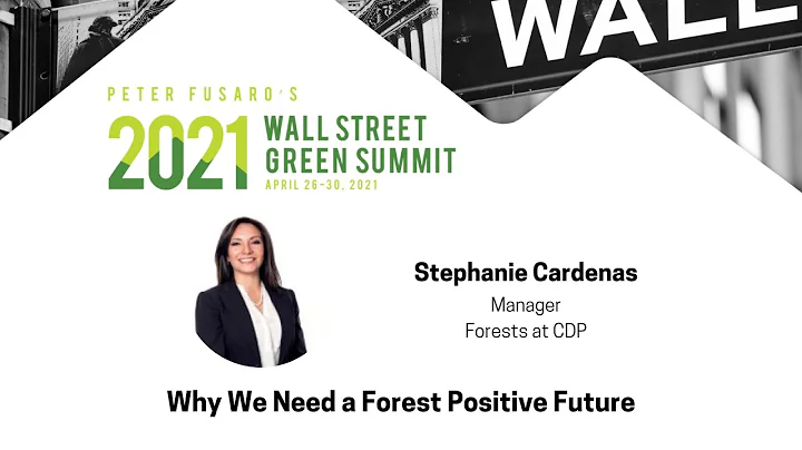 Why We Need a Forest Positive Future | Stephanie C...