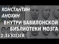 ACADEMIA. Константин Анохин. Внутри Вавилонской библиотеки мозга. 2 лекция. Канал Культура