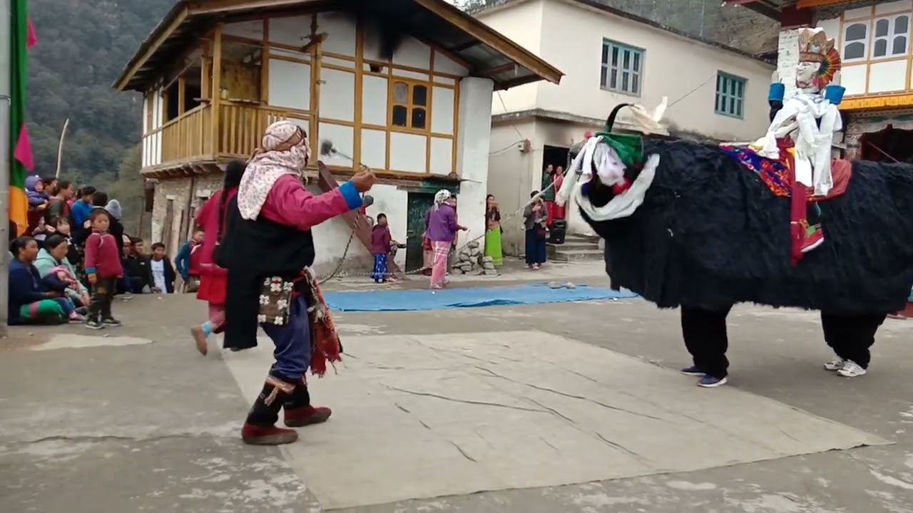 Yak dance of Arunachal pradesh Mon Tawang  Gongkhar village