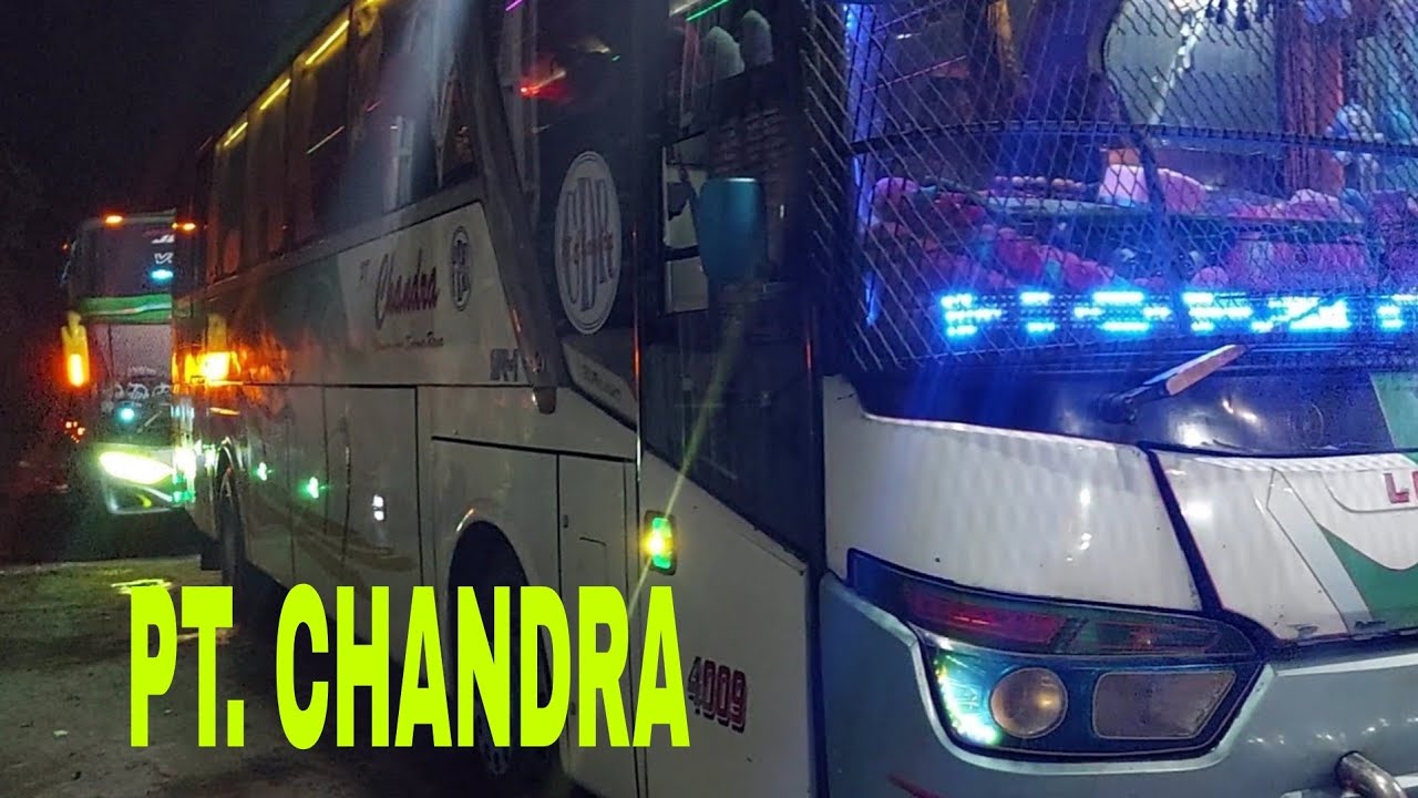 Chandra Pariwisata: Lebih dari Sekadar Bus, Sebuah Legenda di Jalan Raya