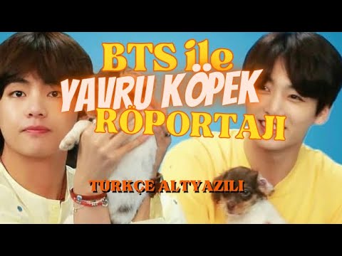 BTS Yavru Köpeklerle Oynarken Fanların Sorularını Cevaplıyor / Buzfeed Interview [Türkçe Altyazılı]