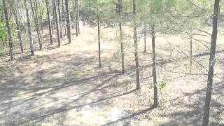 Famous CLIP0022 Profile