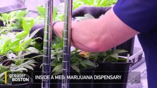 Brockton Medical Marijuana Dispensary