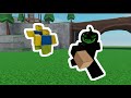 Roblox  chaos gameplay