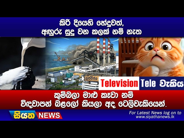 කිරි දියෙහි හේදුවත්, අඟුරු සුදු වන කලක් නම් නැත කුම්බලා මාළු කෑවා නම් විඳවාපන් බළලෝ කියලා