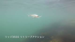 リッジ35SS アクション