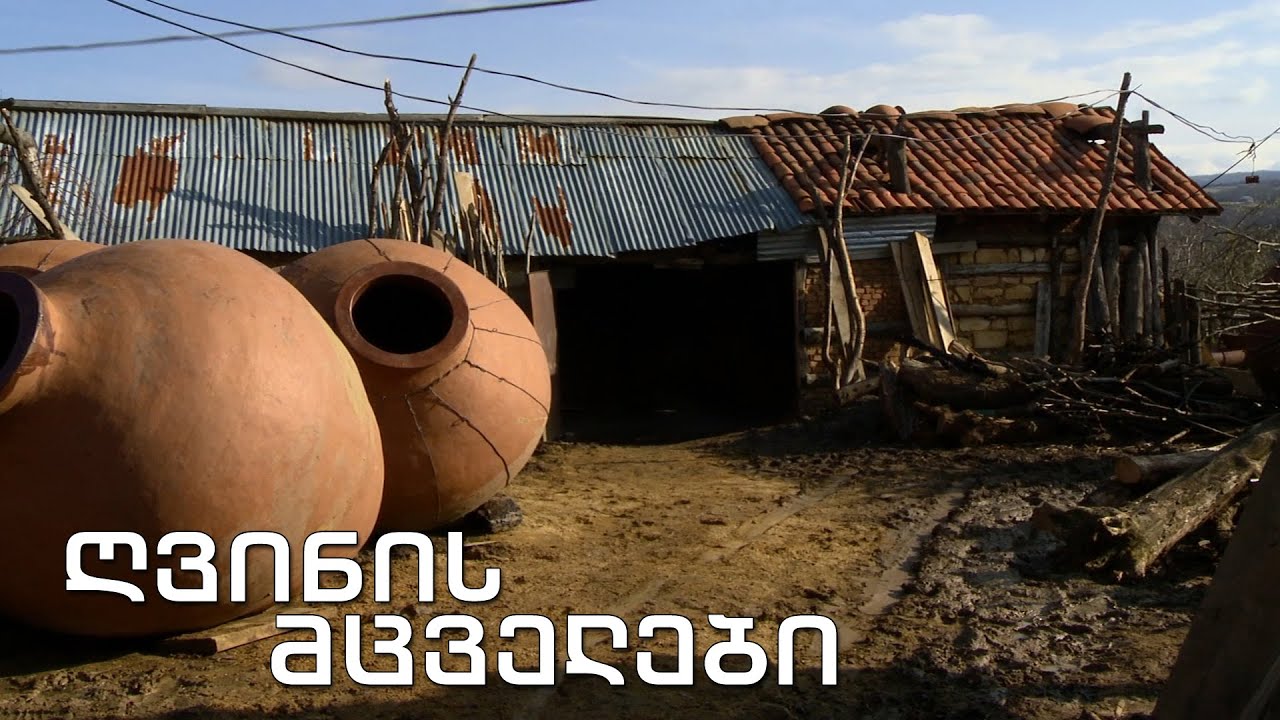 ქართული დოკუმენტალისტიკა - 