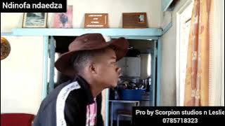 Ndinofa ndaedza