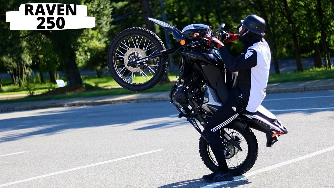 CAN THE BSR RAVEN 250 WHEELIE STOCK?