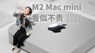 很强但未必适合你M2 Mac mini 我值得拥有但不值得你拥有