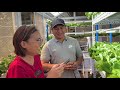 Hydroponics Indoor Setup Using Grow Lights - Part II (with English subtitle) | Nars Adriano