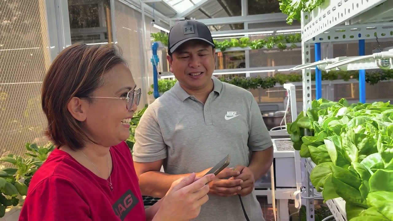 Hydroponics Indoor Setup Using Grow Lights - Part II (with English subtitle) | Nars Adriano