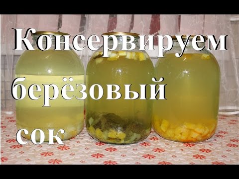 Консервируем березовый сок. Простой способ. Готовим дома.