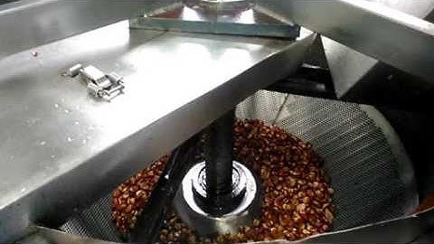 Automatic Broad Beans Fryer Video|Continuous Broad Beans Frying Machine India