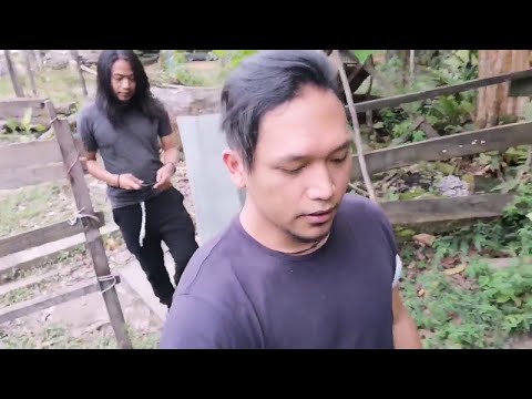 ESTRANGED - Cahaya ke Kampung Koiyep