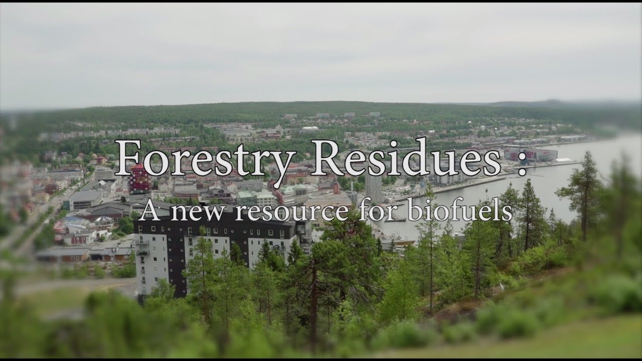 GLOBAL BIOENERGIES: Forestry residues - a new resource for biofuels