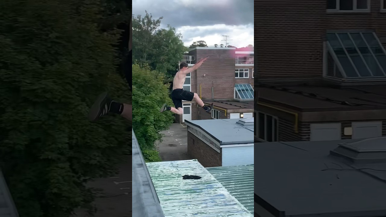 Brighton roof tops biz 🧠 