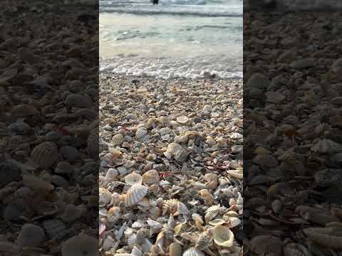 Jumeirah Open Beach.Dubai \ Umm Suqeim Public Beach. Dubai