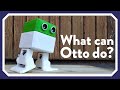 What can Otto DIY robot do?