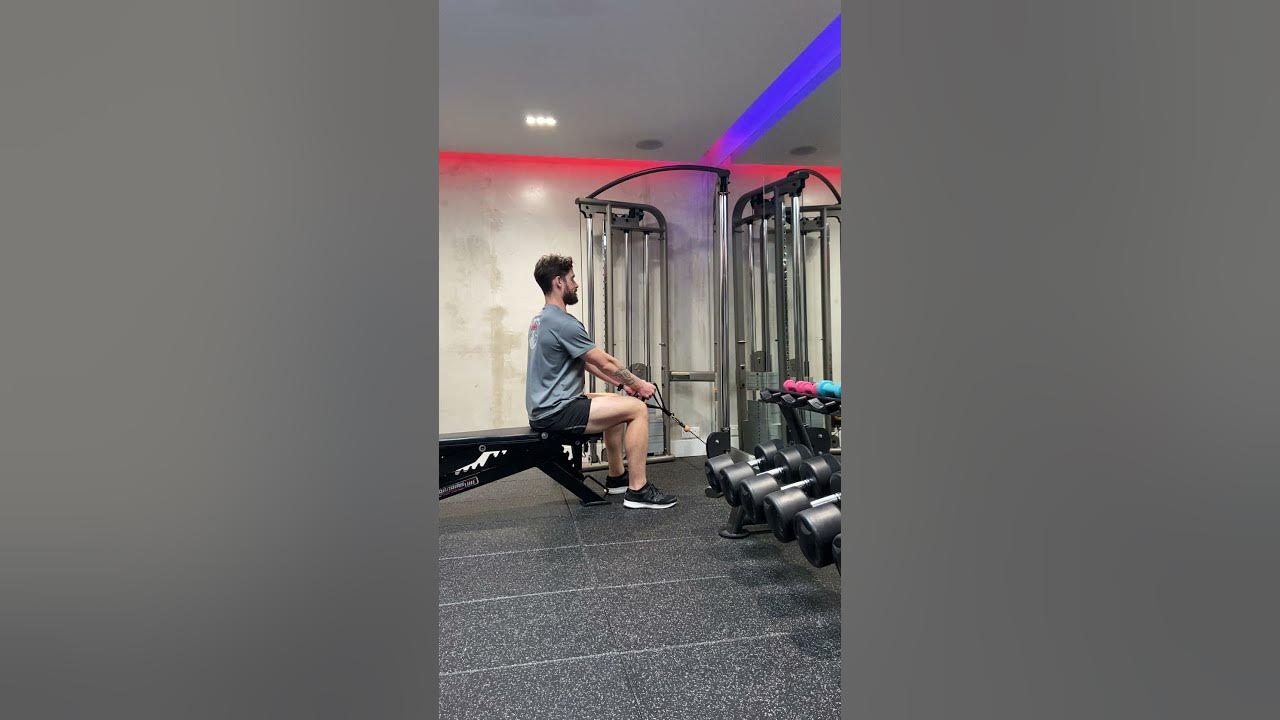 Pulley Seated Upright Rows YouTube