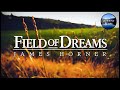 Field of dreams  calm continuous mix