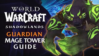 Guardian Druid Mage Tower Guide