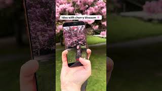 🌸 Speed Ramp Cherry Blossom Edit (Easy Spring Aesthetic in Filmora)