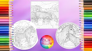 Adult Coloring Pages - Coloring Zebras in the Wild