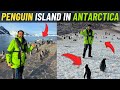 Penguin island in antarctica  