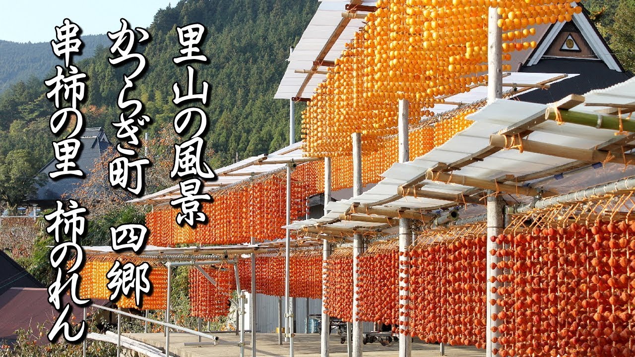 zhiqiang　木製衝立（かりん） 赤色 不規則な形状 かつらぎ町四郷「串柿の里」フォトアルバム（串柿のある風景） - YouTube