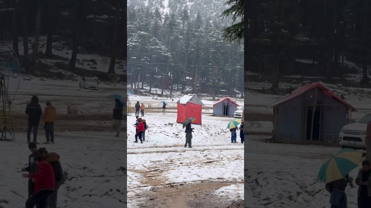 Kalam Valley Forest Swat Live Snowfall 2026 in Pakistan 🇵🇰 