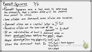 Punnett Squares