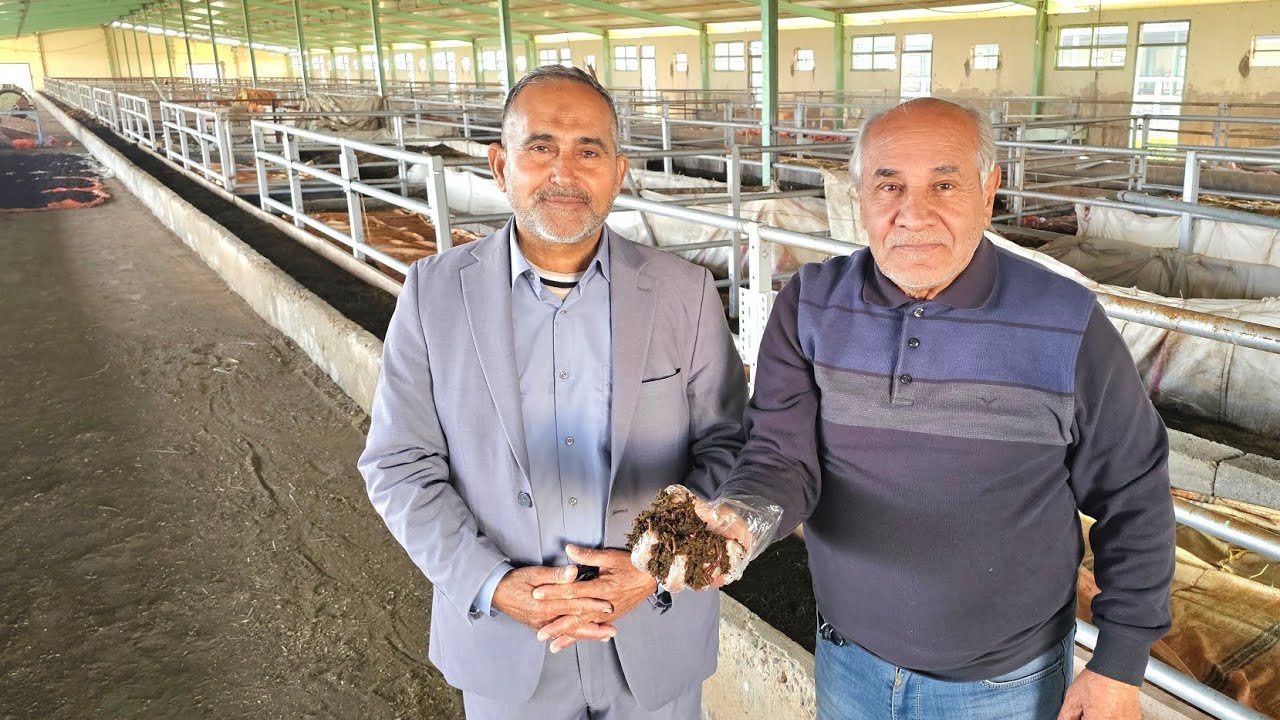 #مشروع_سماد الفيرمي كمبوست و تربية دودة الريدويجلر من الألف الى الياء مع الدكتور قيس عبد الجليل