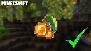 Minecraft | How to Get Glow Berries!