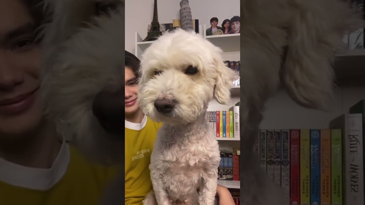 Кто причиняет Ли боль???🥹 