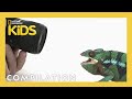Video Analysis: Mood, Actions, and Themes