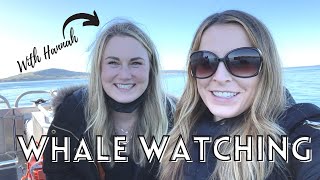 Orca Whale Watching in Anacortes, WA - Anacortes, WA