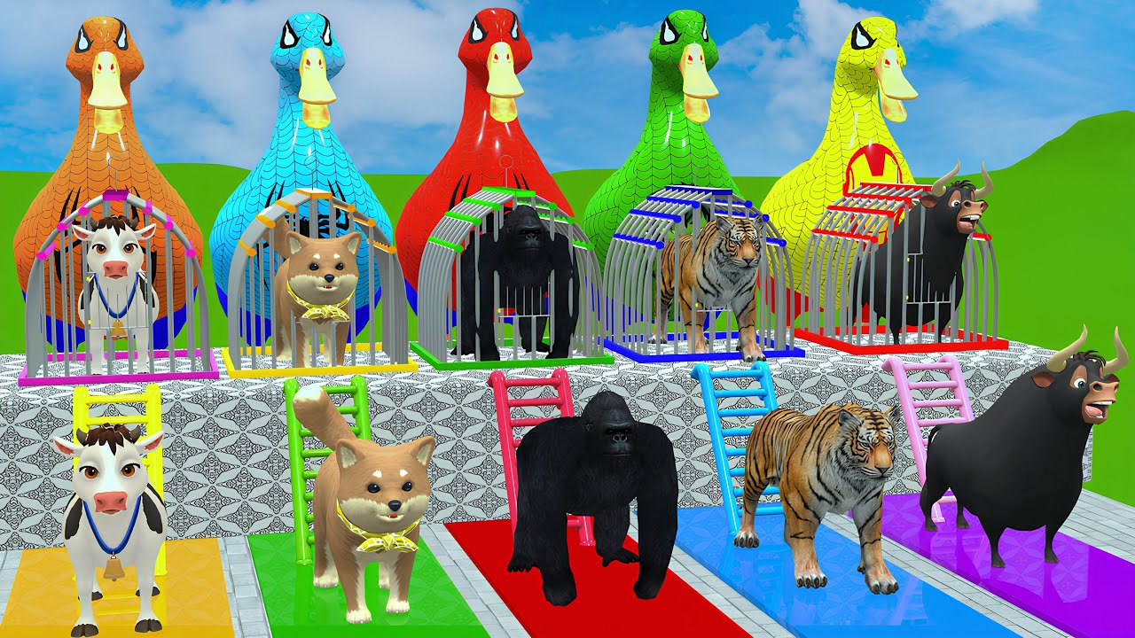 Long Slide Game With Cow Elephant Gorilla Hippopotamus Tiger 3d Animal Game Funny 3d Animals