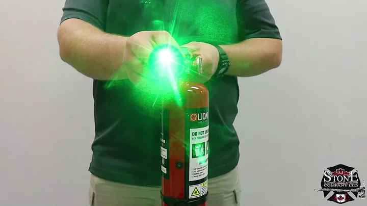 A.J. Stone | Lion: Bullseye Digital Extinguisher T...