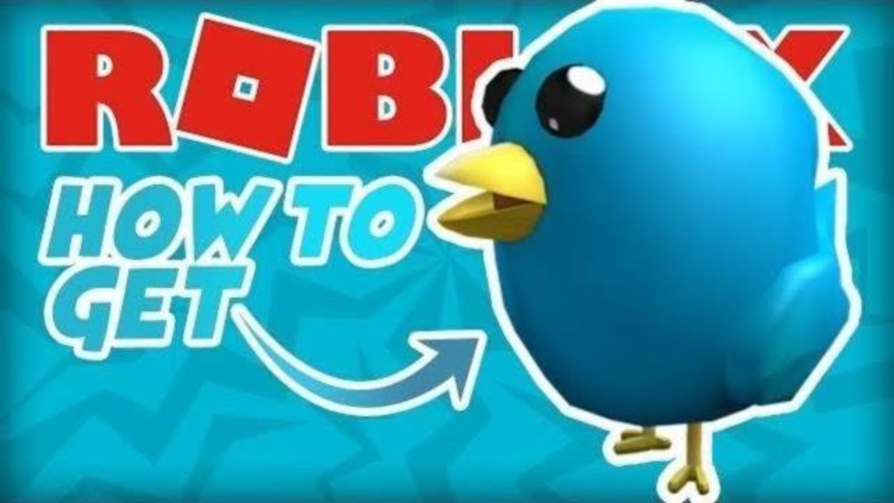 How To Get The Twitter Bird I Roblox Promo Code Youtube - roblox bird code 2018