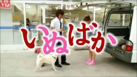 映画『いぬばか』予告編