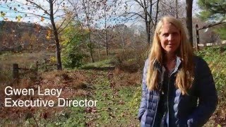 2016 TLC Overview