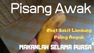 penemuan baru Asam lambung sembuh dengan obat air dr batang pisang kepok.