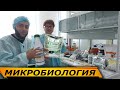 Пищевые добавки для здоровья наших животных//Бентобак, Полилактовит