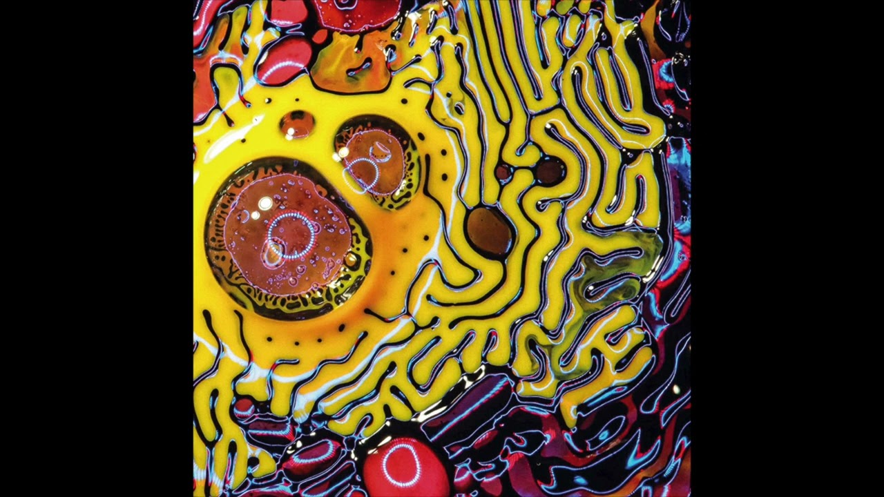 Guarda MOY - Echoic Memory Live su YouTube Guarda MOY - Echoic Memory Live su YouTube